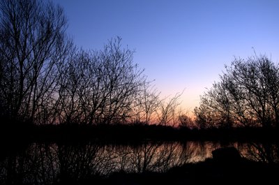 Réveil en douceur_5563339948_l.jpg